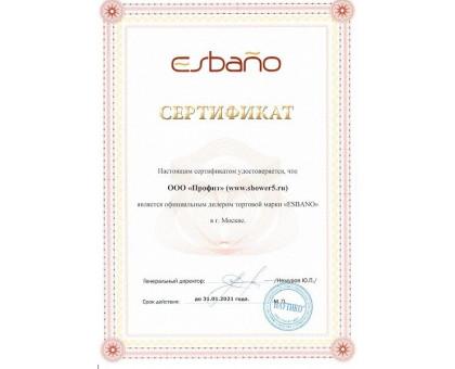 Душевая дверь в нишу ESBANO-140DW 140 см